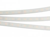 Светодиодная лента герметичная RTW-PW-B60-13mm (14.4 W/m, IP66, 5060, 5m)