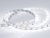 Лента RT 2-5000 (3528, 300 LED, LUX)