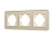 Рамка стеклянная FRM-OMALI-GS-3-GD