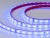Лента RTW 2-5000PGS 2х (5060, 300 LED, LUX)