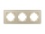 Рамка стеклянная FRM-OMALI-GS-3-GD